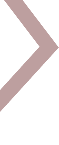 project-v1-shape1-orlunetrix