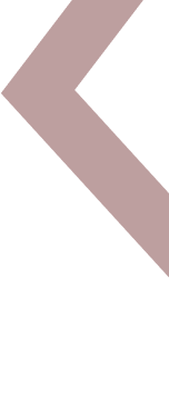 project-v1-shape2-orlunetrix